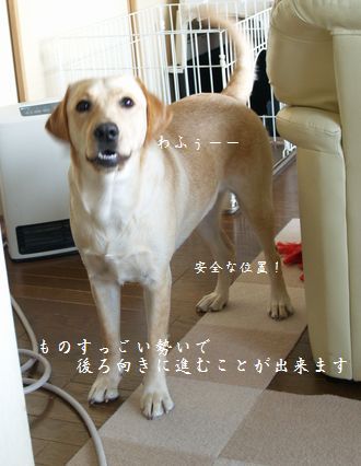 安全な位置まで後退