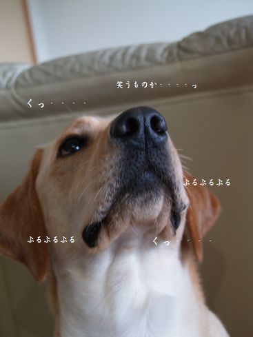 にらめっこ?