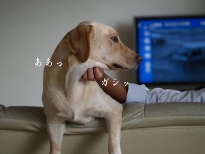 母ちゃんちの晩御飯とどたばた日記