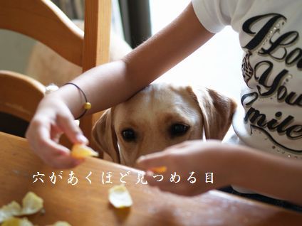 母ちゃんちの晩御飯とどたばた日記