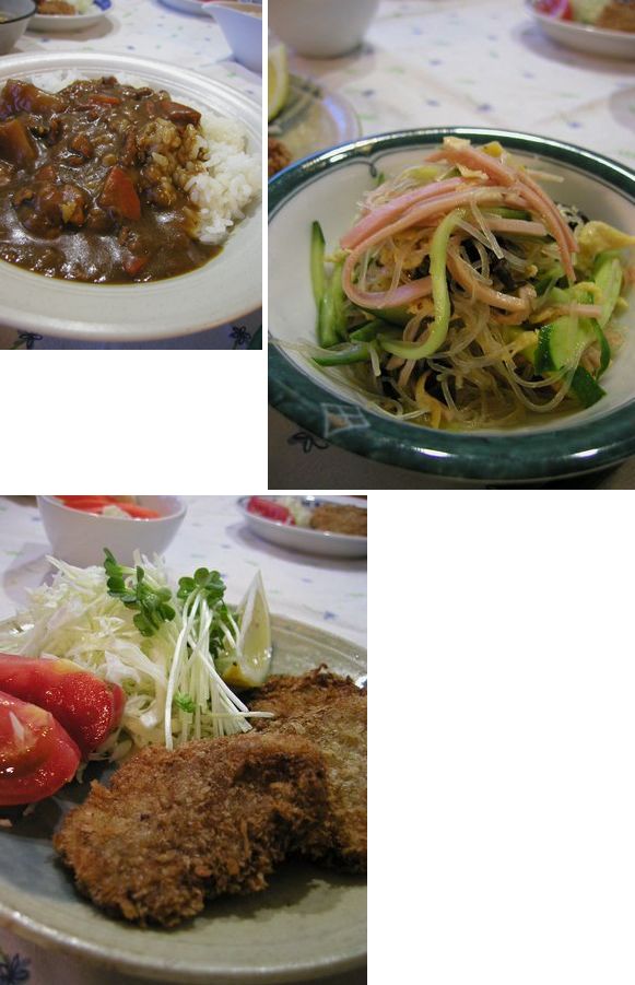 2日目カレー