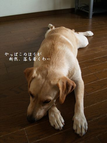 伸び伸び