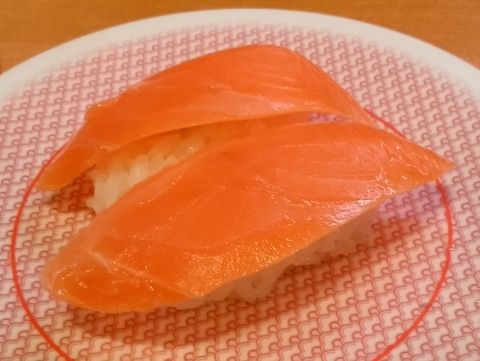 salmon