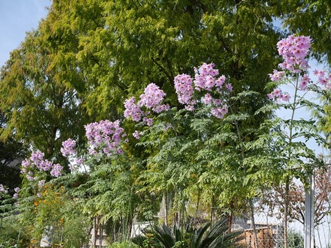 P1020848