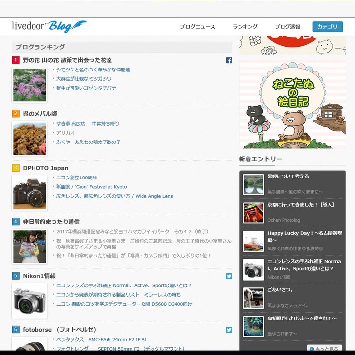 ●20170719野の花1位