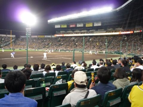 今季初観戦 5月18日 甲子園 SMBCシート : 感性なら負けないブログ Part2