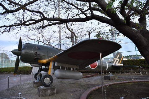 DSC_5657s (1)
