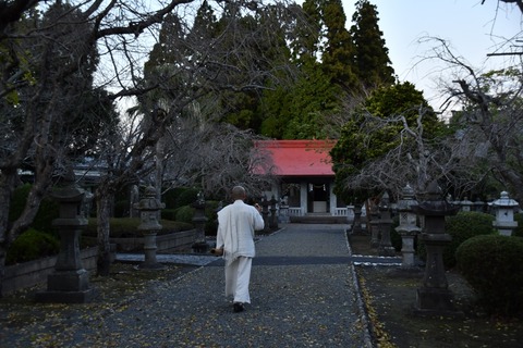 DSC_5649s (1)
