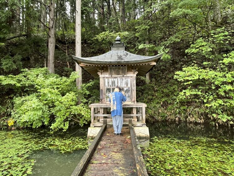 蛇さん Knob 日々の感動