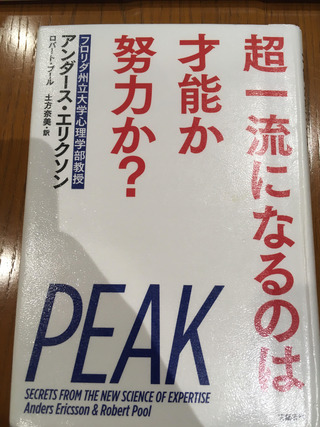 パデル テニス スカッシュ スポル 一万時間の法則