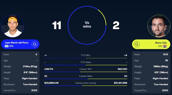 チリッチとデルポトロってどっちが格上なん？