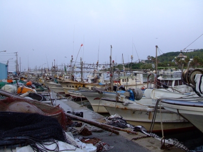 133b49c1.jpg