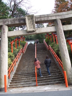 2694312a.jpg