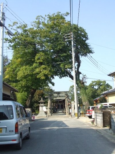 02