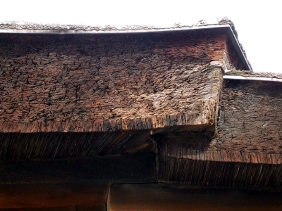 45329d9d.jpg