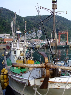 4d133866.jpg