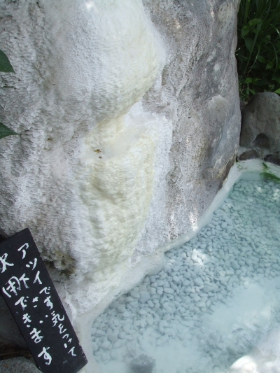 5b999009.jpg