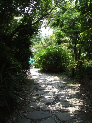 738b96d1.jpg