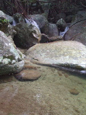 78c326e4.jpg