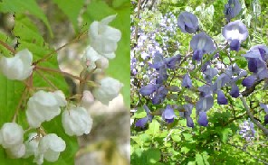7ea38f56.jpg