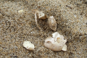8748e65d.jpg