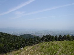891867d6.jpg