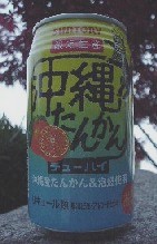 981131d4.jpg