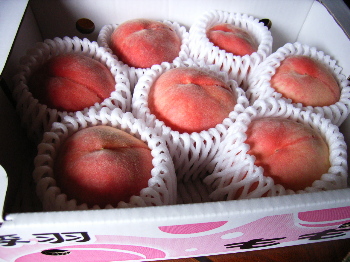 a90b2519.jpg