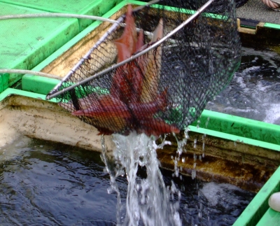 c1f122dc.jpg