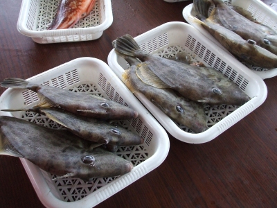 c5957992.jpg