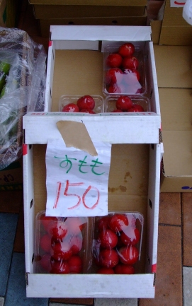 cf5f71d2.jpg