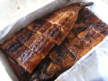 まめまめしく行こう 富松うなぎ屋 本店