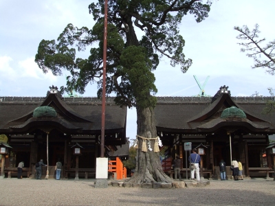d753701c.jpg