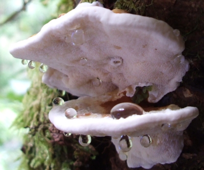 d7bddc51.jpg