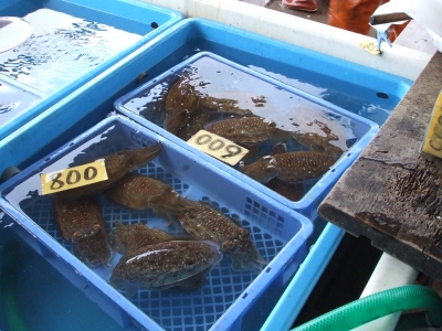 e575c73d.jpg