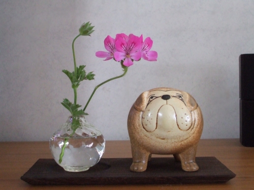 ハーブ