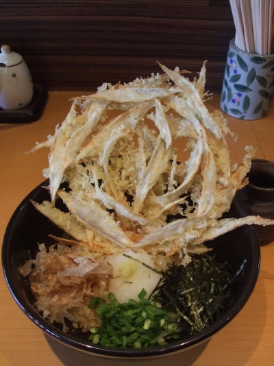 まめまめしく行こう 満月 八幡西区