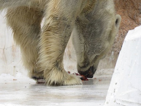 食べる