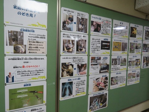 パネル展示