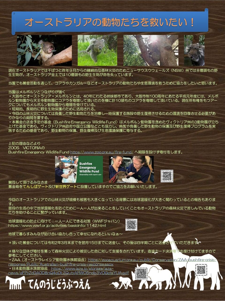 干ばつや森林火災で被害にあっているオーストラリアの野生動物のために 天王寺動物園スタッフブログ