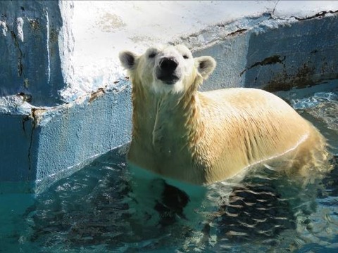 いっちゃん