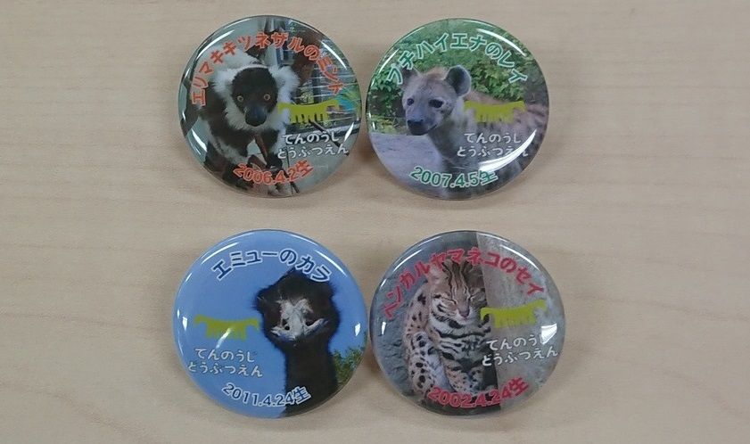 応援団の特典がさらに充実します 天王寺動物園スタッフブログ 応援団の特典がさらに充実します 天王寺動物園スタッフブログ
