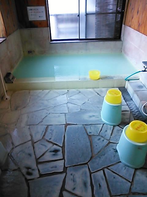 白い てんとう虫のblog 白い てんとう虫のblog