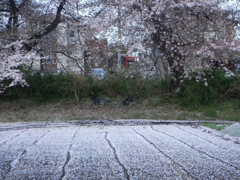 s-DSCN0142