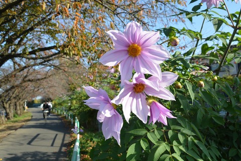 s-DSC_0051
