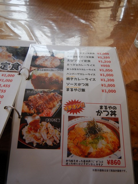 s-DSCN0312