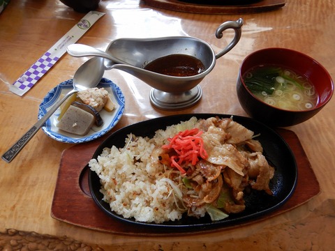 s-DSCN0313