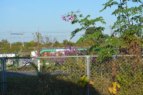 s-DSC_0048