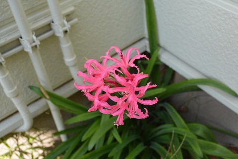 s-DSC_0060