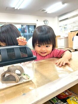 0804るか